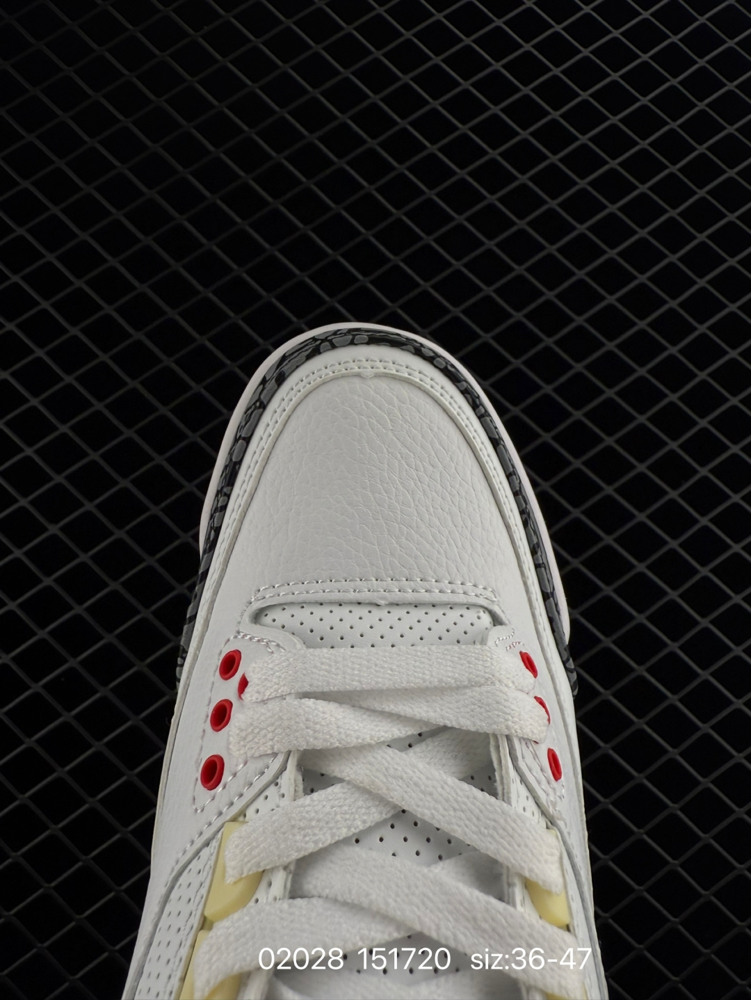 Nike Air Jordan 3 Retro SE